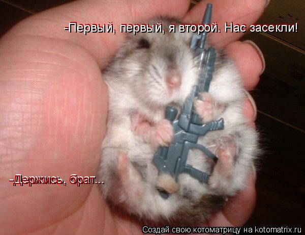 -Первый, первый, я второй. Нас засекли! -Первый, первый, я второй. Нас засекли! -Держись, брат... -Де... Котоматрица: -Первый, первый, я второй. Нас засекли! -Первый, первый, я второй. Нас засекли! -Держись, брат... -Держись, брат...