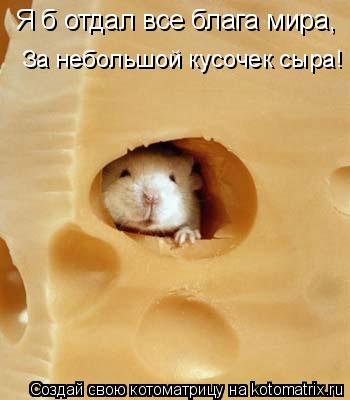 Я б отдал все блага мира, За небольшой кусочек сыра!... Котоматрица: Я б отдал все блага мира, За небольшой кусочек сыра!