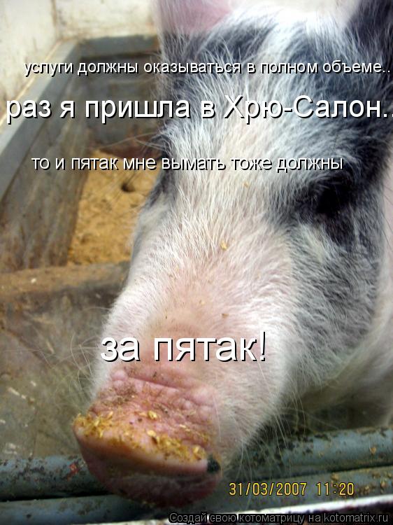 услуги должны оказываться в полном объеме.. раз я пришла в Хрю-Салон... то и пятак мне вымать тоже д... Котоматрица: услуги должны оказываться в полном объеме.. раз я пришла в Хрю-Салон... то и пятак мне вымать тоже должны за пятак!