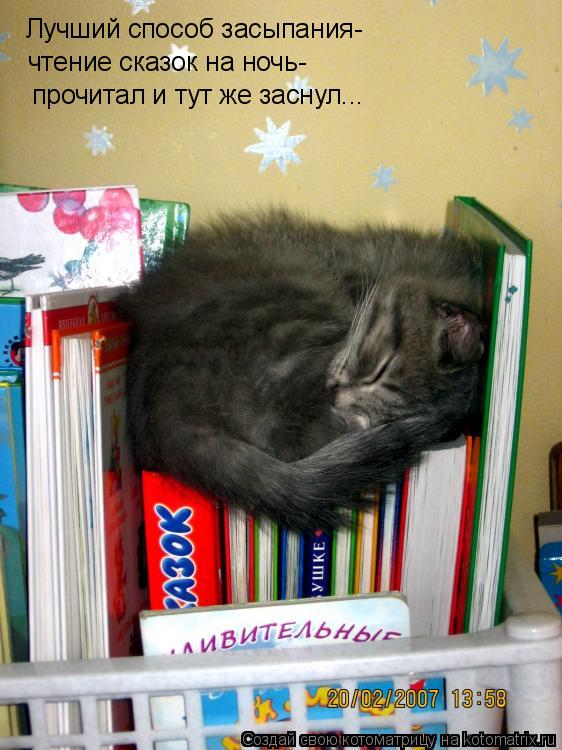Котоматрица: Лучший способ засыпания- чтение сказок на ночь- прочитал и тут же заснул...