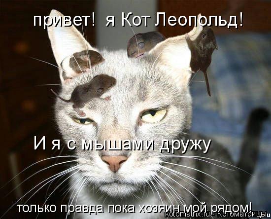 привет! я Кот Леопольд! только правда пока хозяин мой рядом! И я с мышами дружу... Котоматрица: привет! я Кот Леопольд! только правда пока хозяин мой рядом! И я с мышами дружу