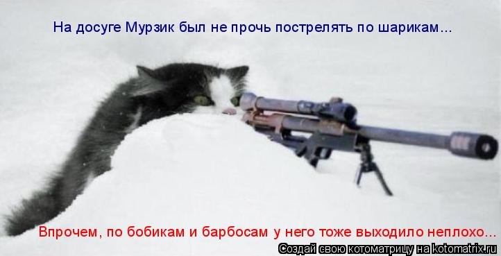 На досуге Мурзик был не прочь пострелять по шарикам... Впрочем, по бобикам и барбосам у него тоже вых... Котоматрица: На досуге Мурзик был не прочь пострелять по шарикам... Впрочем, по бобикам и барбосам у него тоже выходило неплохо...