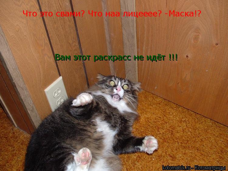 Что это свами? Что наа лицееее? -Маска!? Вам этот раскрасс не идёт !!!... Котоматрица: Что это свами? Что наа лицееее? -Маска!? Вам этот раскрасс не идёт !!!