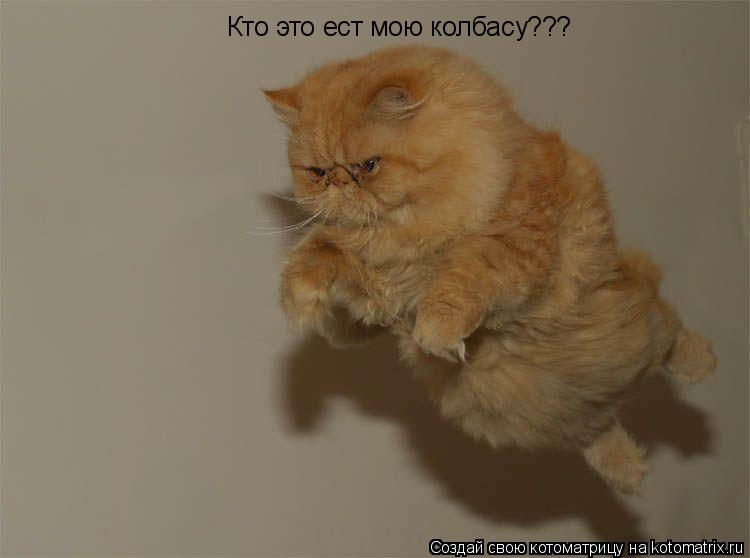Кто это ест мою колбасу???... Котоматрица: Кто это ест мою колбасу???