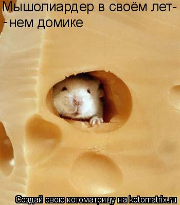 нем домике Мышолиардер в своём лет- - -... Котоматрица: нем домике Мышолиардер в своём лет- - -