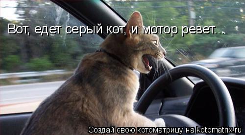 http://kotomatrix.ru/images/lolz/2010/07/26/638418.jpg