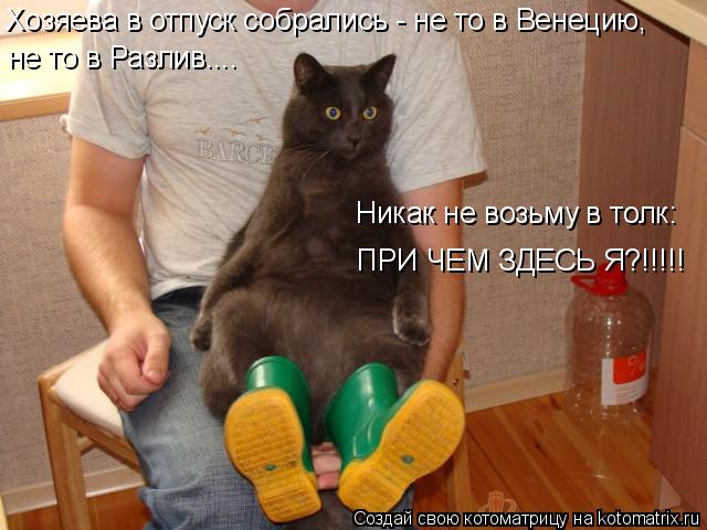 Хозяева в отпуск собрались - не то в Венецию, не то в Разлив.... Никак не возьму в толк: ПРИ ЧЕМ ЗДЕС... Котоматрица: Хозяева в отпуск собрались - не то в Венецию, не то в Разлив.... Никак не возьму в толк: ПРИ ЧЕМ ЗДЕСЬ Я?!!!!!