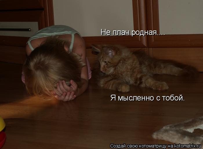 Не плач родная.... Я мысленно с тобой.... Котоматрица: Не плач родная.... Я мысленно с тобой.