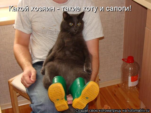 Какой хозяин - такие коту и сапоги!... Котоматрица: Какой хозяин - такие коту и сапоги!