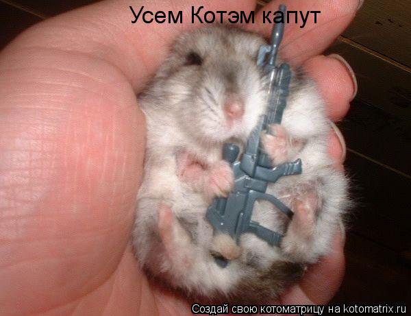 Усем Котэм капут... Котоматрица: Усем Котэм капут