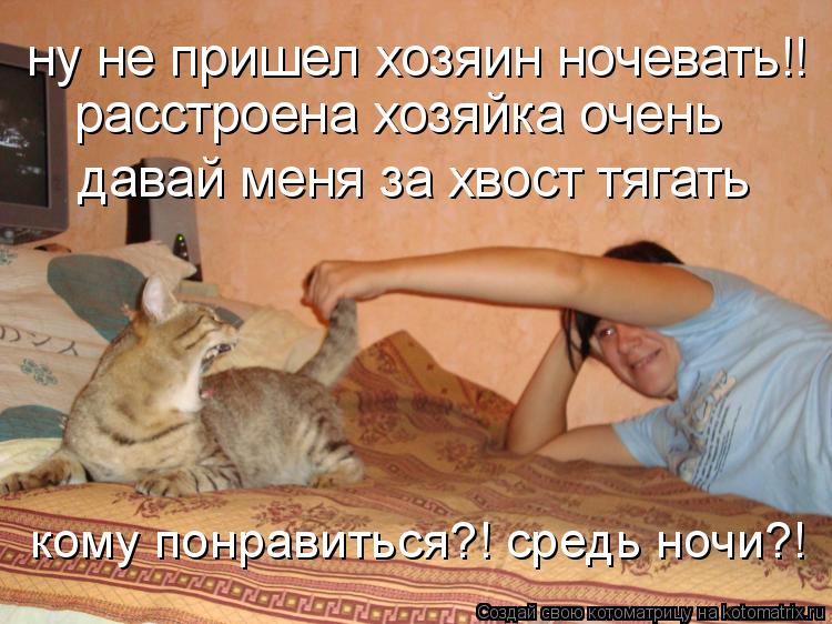 ну не пришел хозяин ночевать!! расстроена хозяйка очень давай меня за хвост тягать кому понравиться?!... Котоматрица: ну не пришел хозяин ночевать!! расстроена хозяйка очень давай меня за хвост тягать кому понравиться?! средь ночи?!