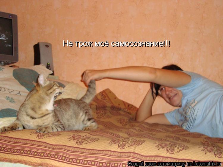 Не трож моё самосознание!!!... Котоматрица: Не трож моё самосознание!!!