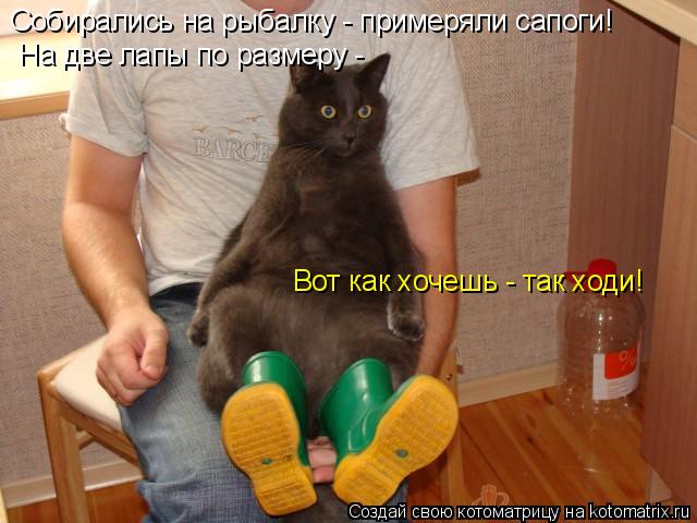 Собирались на рыбалку - примеряли сапоги! На две лапы по размеру - Вот как хочешь - так ходи!... Котоматрица: Собирались на рыбалку - примеряли сапоги! На две лапы по размеру - Вот как хочешь - так ходи!