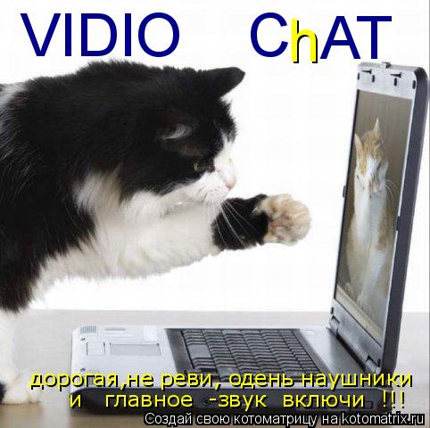 VIDIO C h AT дорогая,не реви, одень наушники и главное -звук включи !!!... Котоматрица: VIDIO C h AT дорогая,не реви, одень наушники и главное -звук включи !!!