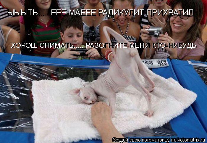 ЫЫЫТЬ..... ЕЕЕ МАЕЕЕ РАДИКУЛИТ ПРИХВАТИЛ ХОРОШ СНИМАТЬ..... РАЗОГНИТЕ МЕНЯ КТО-НИБУДЬ... Котоматрица: ЫЫЫТЬ..... ЕЕЕ МАЕЕЕ РАДИКУЛИТ ПРИХВАТИЛ ХОРОШ СНИМАТЬ..... РАЗОГНИТЕ МЕНЯ КТО-НИБУДЬ