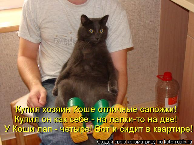 Купил хозяин Коше отличные сапожки! Купил он как себе - на лапки-то на две! У Коши лап - четыре! Вот ... Котоматрица: Купил хозяин Коше отличные сапожки! Купил он как себе - на лапки-то на две! У Коши лап - четыре! Вот и сидит в квартире!