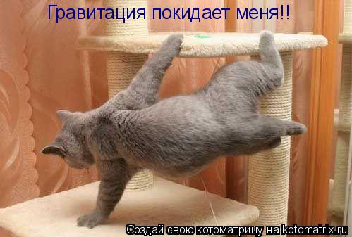 Гравитация покидает меня!!... Котоматрица: Гравитация покидает меня!!