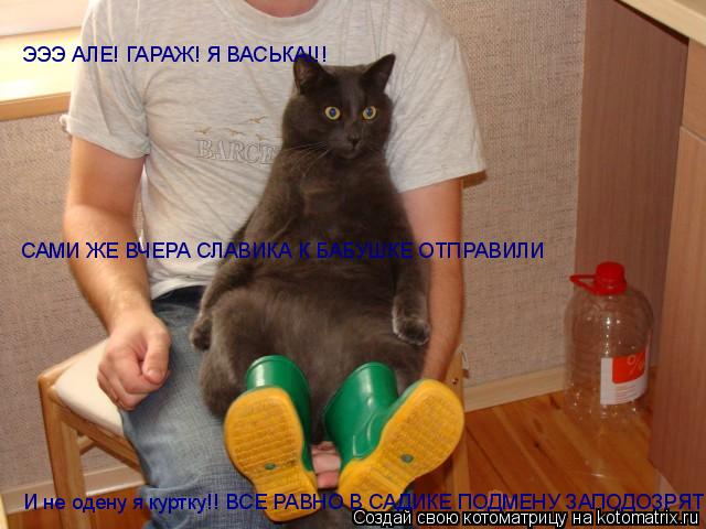 ЭЭЭ АЛЕ! ГАРАЖ! Я ВАСЬКА!!! САМИ ЖЕ ВЧЕРА СЛАВИКА К БАБУШКЕ ОТПРАВИЛИ И не одену я куртку!! ВСЕ РАВН... Котоматрица: ЭЭЭ АЛЕ! ГАРАЖ! Я ВАСЬКА!!! САМИ ЖЕ ВЧЕРА СЛАВИКА К БАБУШКЕ ОТПРАВИЛИ И не одену я куртку!! ВСЕ РАВНО В САДИКЕ ПОДМЕНУ ЗАПОДОЗРЯТ