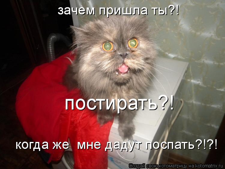 зачем пришла ты?! постирать?! когда же мне дадут поспать?!?!... Котоматрица: зачем пришла ты?! постирать?! когда же мне дадут поспать?!?!