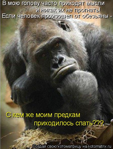 В мою голову часто приходят мысли и никак их не прогнать! Если человек произошел от обезьяны - прих... Котоматрица: В мою голову часто приходят мысли и никак их не прогнать! Если человек произошел от обезьяны - приходилось спать??? С кем же моим предкам