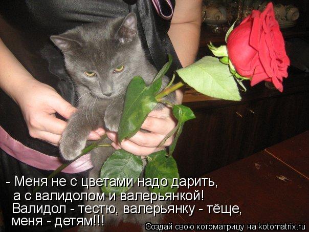 - Меня не с цветами надо дарить, а с валидолом и валерьянкой! Валидол - тестю, валерьянку - тёще, м... Котоматрица: - Меня не с цветами надо дарить, а с валидолом и валерьянкой! Валидол - тестю, валерьянку - тёще, меня - детям!!!