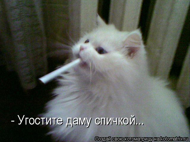 - Угостите даму спичкой...... Котоматрица: - Угостите даму спичкой...