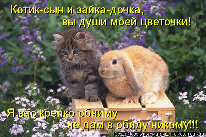 вы души моей цветочки! Котик-сын и зайка-дочка, Я вас крепко обниму не дам в обиду никому!!!... Котоматрица: вы души моей цветочки! Котик-сын и зайка-дочка, Я вас крепко обниму не дам в обиду никому!!!