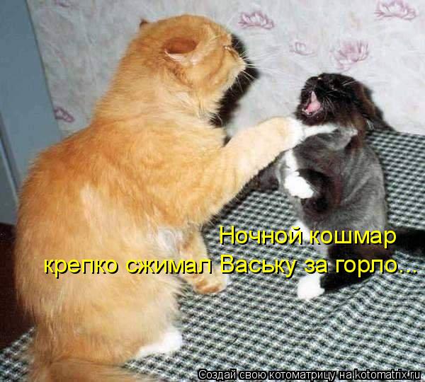 Ночной кошмар крепко сжимал Ваську за горло...... Котоматрица: Ночной кошмар крепко сжимал Ваську за горло...