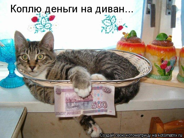 Коплю деньги на диван...... Котоматрица: Коплю деньги на диван...