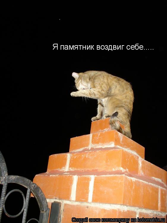 Я памятник воздвиг себе........ Котоматрица: Я памятник воздвиг себе.....