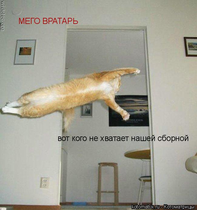 вот кого не хватает нашей сборной МЕГО ВРАТАРЬ... Котоматрица: вот кого не хватает нашей сборной МЕГО ВРАТАРЬ