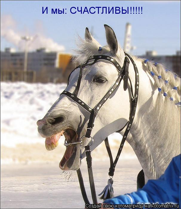 И мы: СЧАСТЛИВЫ!!!!!... Котоматрица: И мы: СЧАСТЛИВЫ!!!!!