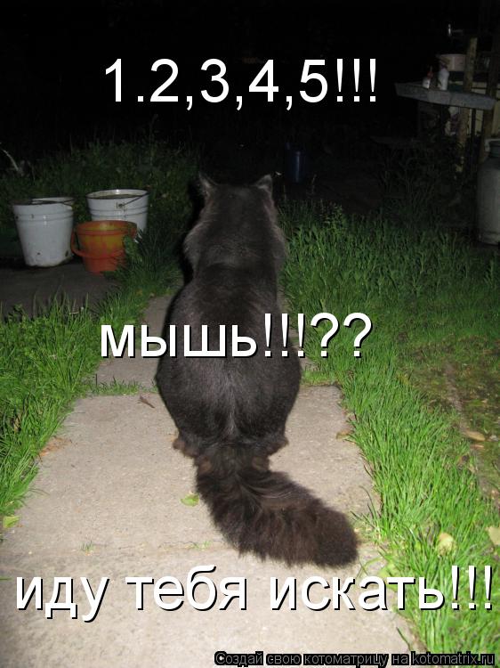 1.2,3,4,5!!! мышь!!!?? иду тебя искать!!!... Котоматрица: 1.2,3,4,5!!! мышь!!!?? иду тебя искать!!!
