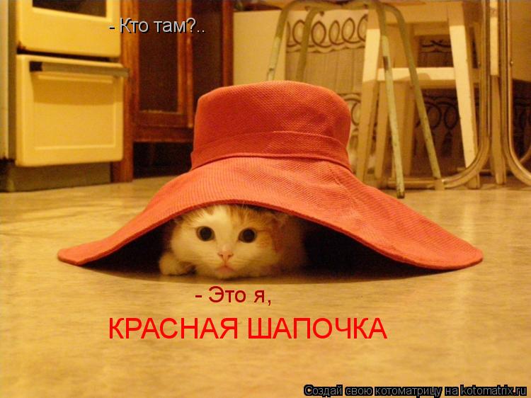 Котоматрица: - Кто там?.. - Это я, КРАСНАЯ ШАПОЧКА