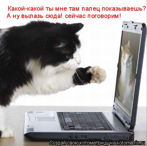 Котоматрица: Какой-какой ты мне там палец показываешь? А ну вылазь сюда! сейчас поговорим!