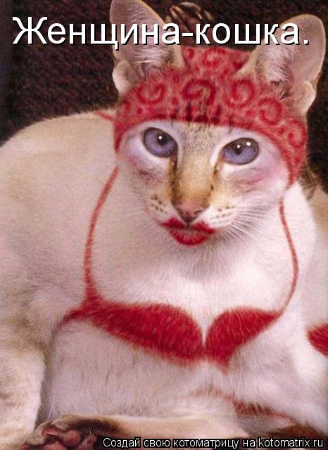 Котоматрица: Женщина-кошка.