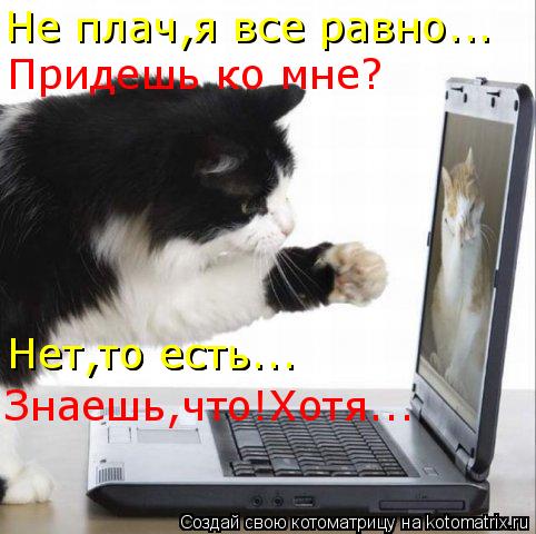 Котоматрица: Не плач,я все равно... Придешь ко мне? Нет,то есть... Нет,то есть... Знаешь,что!Хотя...