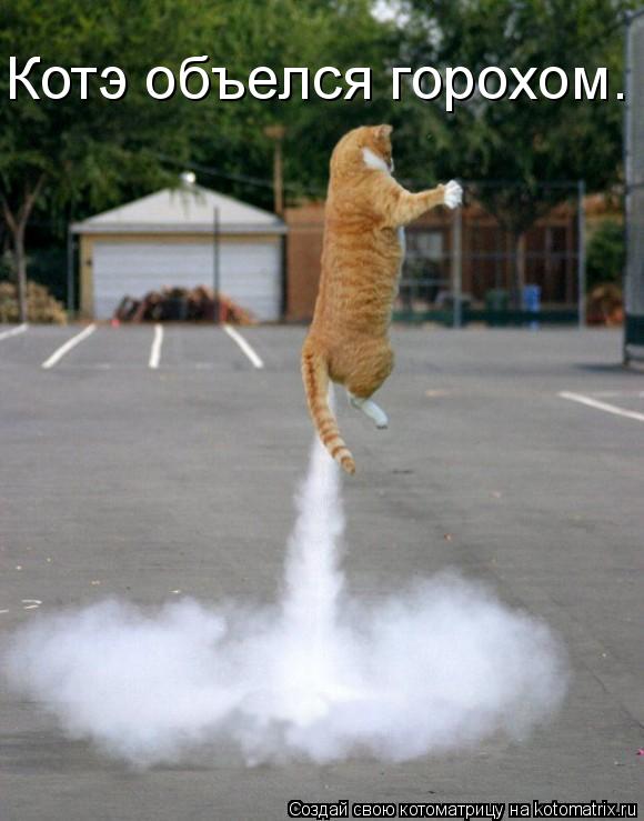 Котоматрица: Котэ объелся горохом.