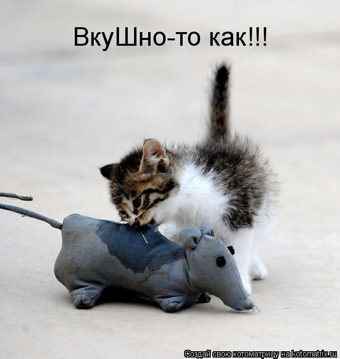 Котоматрица: ВкуШнo-то как!!!