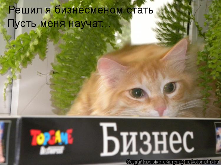 Котоматрица: Решил я бизнесменом стать Пусть меня научат...