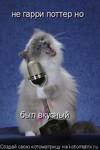 Котоматрица: не гарри поттер но был вкусный