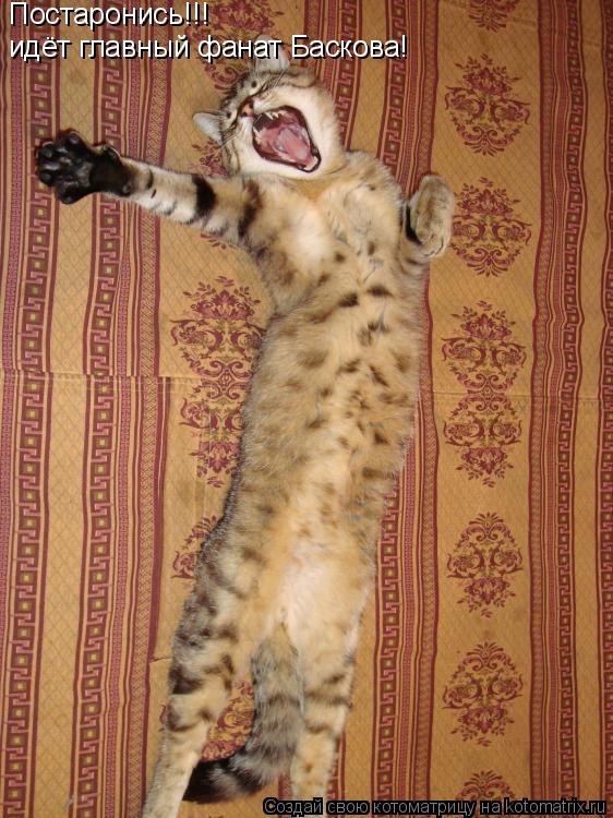 Котоматрица: Постаронись!!! идёт главный фанат Баскова!