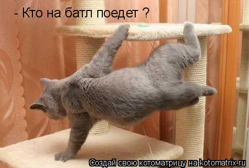 Котоматрица: - Кто на батл поедет ?