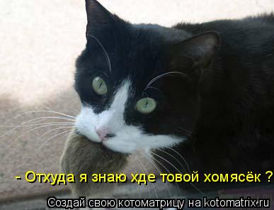 Котоматрица: - Отхуда я знаю хде товой хомясёк ?