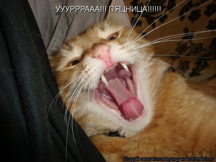Котоматрица: УУУРРРААА!!! ПЯЦНИЦА!!!!!!