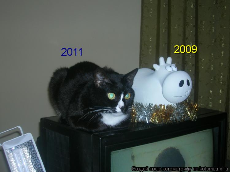 2009 2011... Котоматрица: 2009 2011