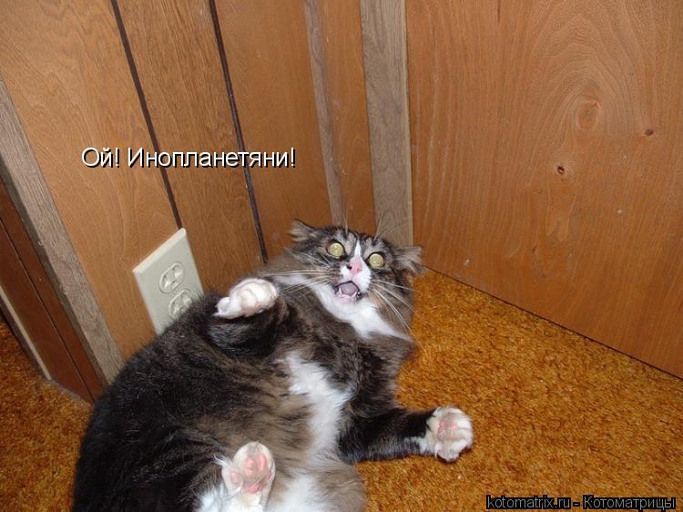 Котоматрица: Ой! Инопланетяни!