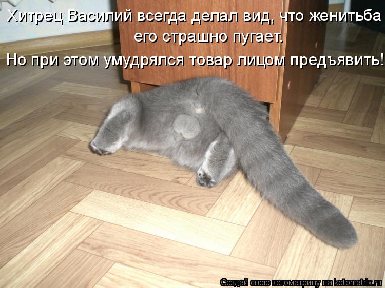 Хитрец Василий всегда делал вид, что женитьба  его страшно пугает. Но при этом умудрялся товар лицом предъявить!