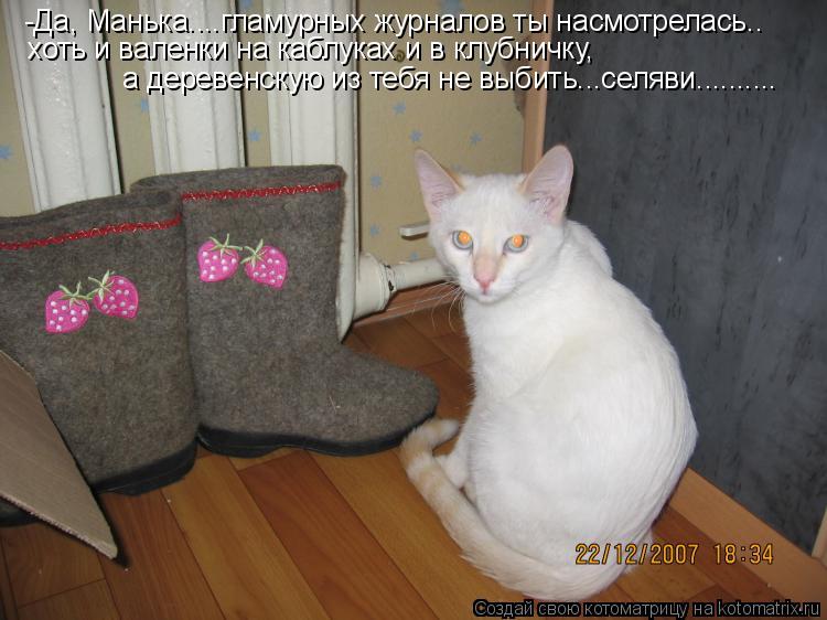 Котоматрица: -Да, Манька....гламурных журналов ты насмотрелась.. хоть и валенки на каблуках и в клубничку,  а деревенскую из тебя не выбить...селяви..........