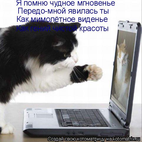Котоматрица: Я помню чудное мгновенье  Передо-мной явилась ты Как мимолётное виденье Как гений чистой красоты